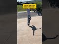 Could listen to this all day 👂#woodward#actionsports #summercamp #skateboarding
