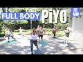 35 min piyo express full body  yoga flow workout  low impact no equipment at home