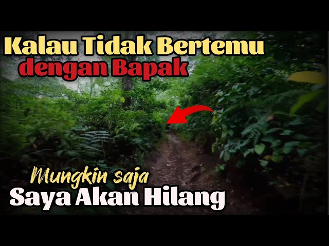 NEKAAT Masuk Hutan saat Senja, aq Menemukan Kampung Besar yg Terpencil di Atas Ketinggian Banyuwangi class=