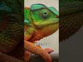 OpenAI、「GPT-5.1」リリース 「よりスマートに、より楽しく」【IT News(2024/11/13)】