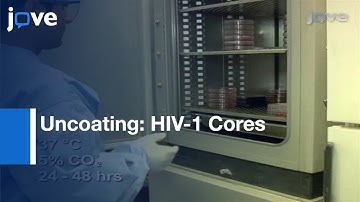In Vitro Uncoating Of HIV-1 Cores l Protocol Preview
