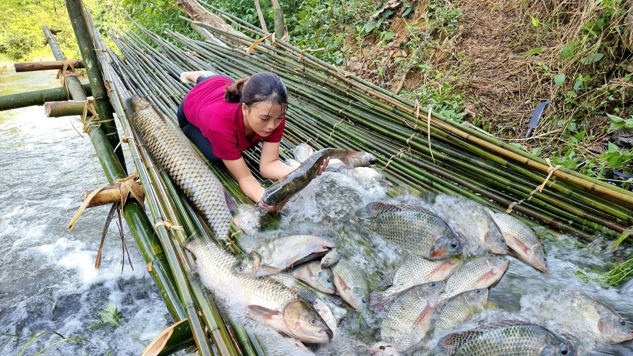 How to catch giant fish after a big storm, prepare grilled fish - YouTube