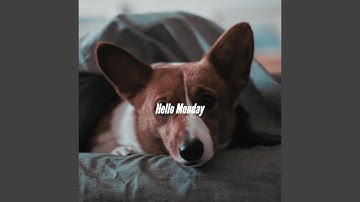 High Class Backdrops for Throwback Fall