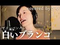 【フル歌詞付き】白いブランコ - ビリーバンバン【ピアノver. / Covered by さや】