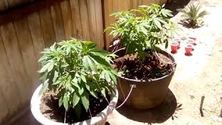 Super Glue Outdoor Update plus Shoutouts!!😀👊🙌🙌