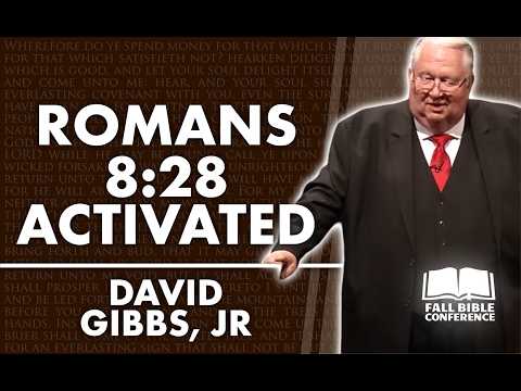 Dr David Gibbs Jr - Romans 8:28 Activated!