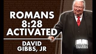 Dr David Gibbs Jr - Romans 8:28 Activated!