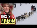 One of the BEST THINGS TO DO in ALASKA in the WINTER // Iditarod Race