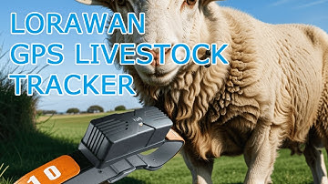 Enhanced Cattle Tracking with Lora GPS Cattle Tracker, #LoRaWANGPSLivestockTracker