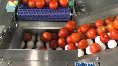 Delfin infeed, feeder and flow wrapper to package loose items