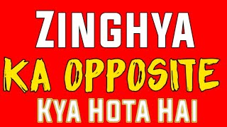 Zingy Ka Opposite Word | Zingy Ka Opposite Kya Hota Hai | Zingy Opposite Word | Opposite Words