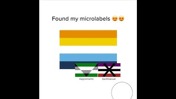 My sexuality over the years 🙃 #lgbt #lgbtqia #pridemonth #comingout