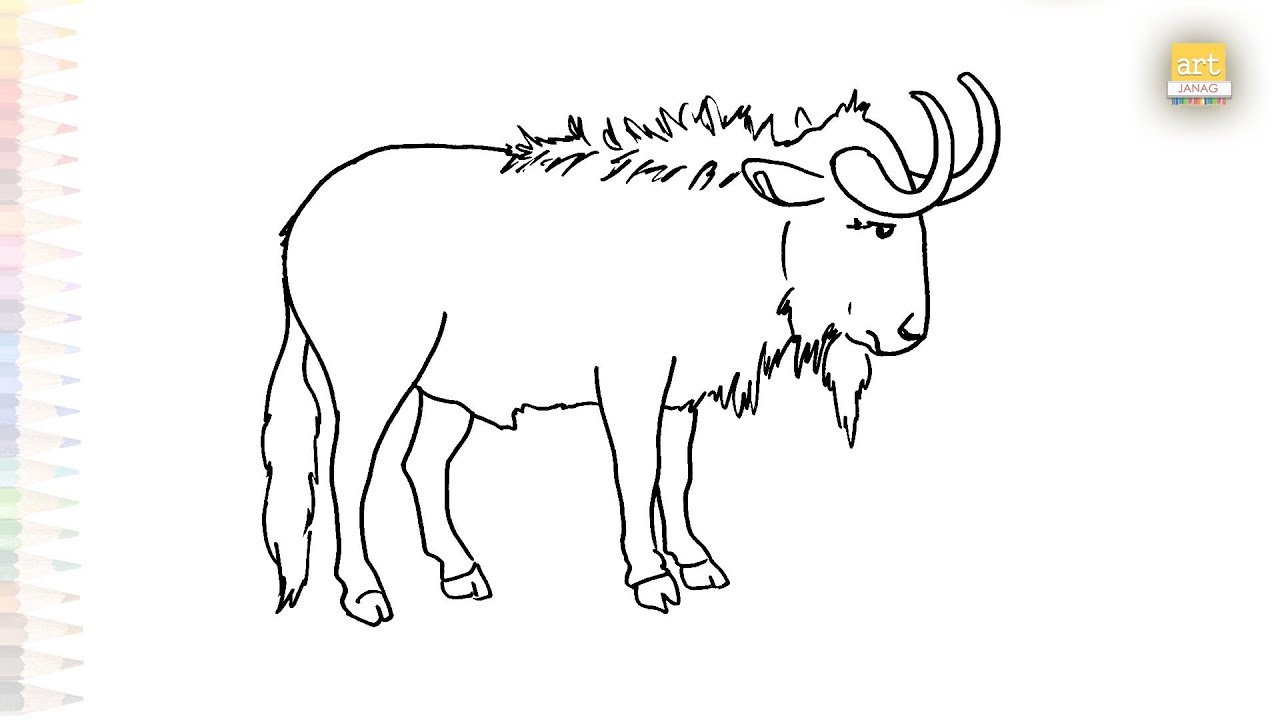 Wildebeest Outline Drawing Animal Art Tutorial How To Draw A Maxresdefault