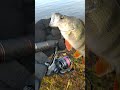 ТОЛСТЕННЫЙ ОКУНЯРА НА ОТВОДНОЙ ПОВОДОК и Спиннинг для джига. Рыбалка на Волге