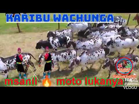 Motolukanyatv Gmail Com Niko Kambini