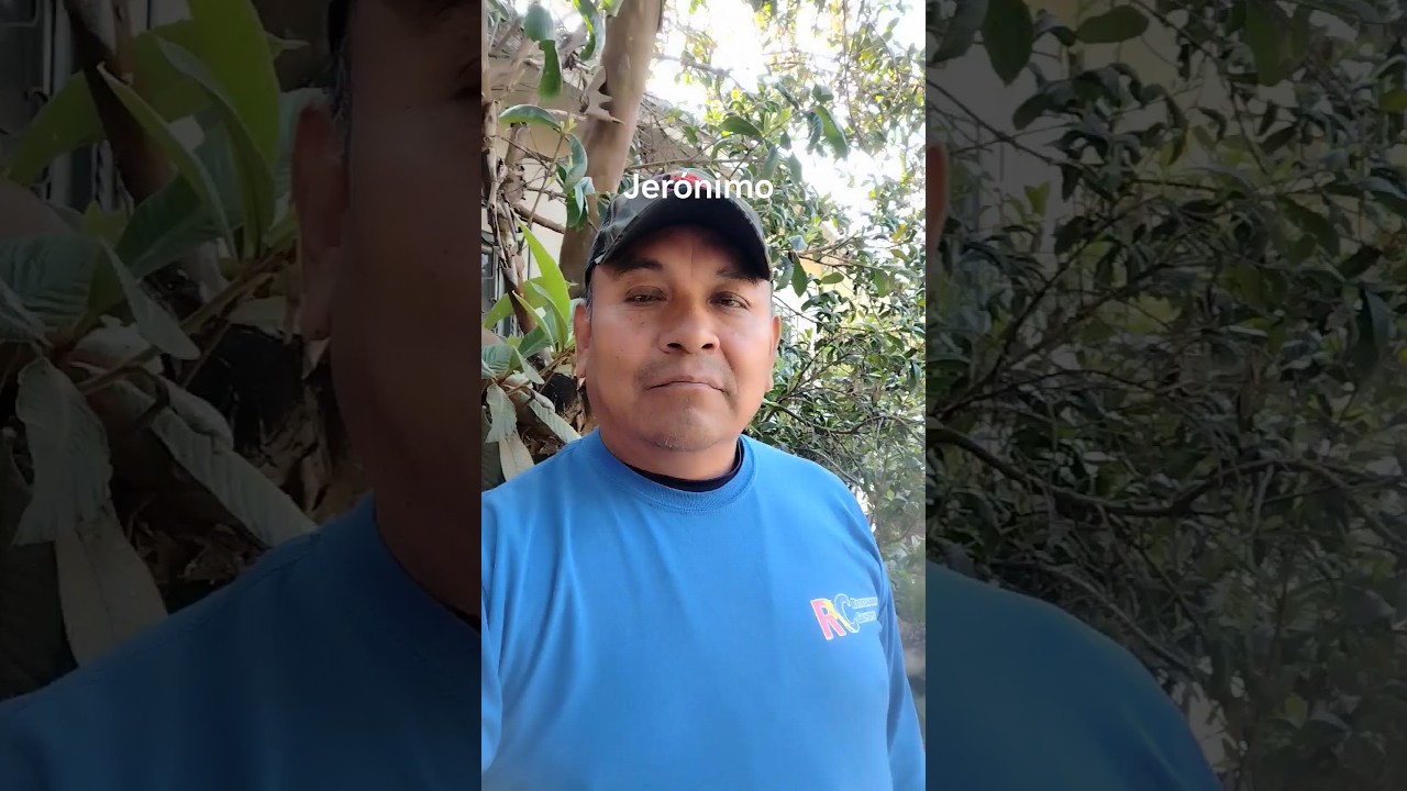 Ora Cochos, Guaches hijoe7 