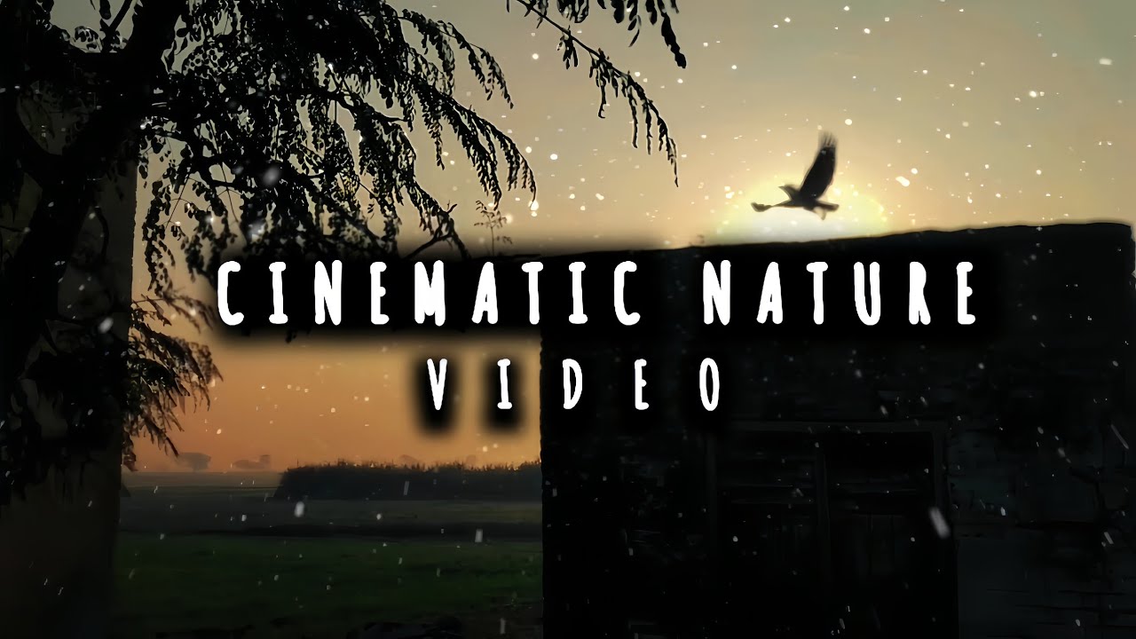 Cinematic Nature Video 📸
