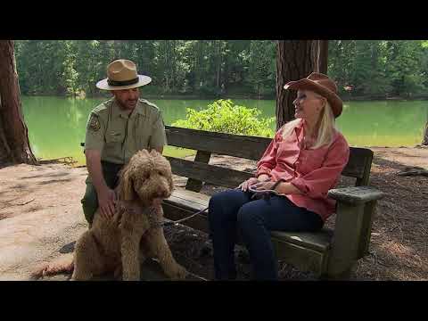 Travels with Jessi | Georgia Outdoors