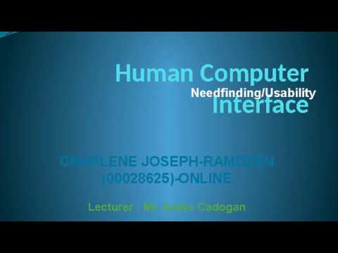 HCI- Needfinding/Usability-Assignment 1