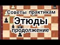 ЭТЮДЫ. Продолжение. Советы практикам.  3)--Часть.