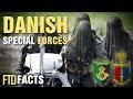 10+ Surprising Facts About Denmark Special Forces (Frogman Corps & Jaeger Corps)