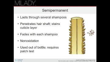 Cosmetology Chapter 21.pptx - Google Slides