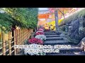 《宝徳寺🍁関東で見られるのはココだけ！》