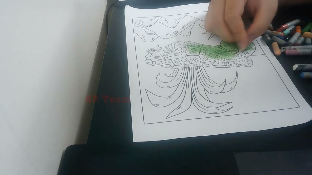 Color The Picture Of A Snake Coiled In The Thick Grass, Basking In The Sun 6 - Paulseante