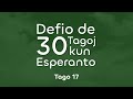 17. Kiu estas, laŭ via opinio, la plej granda miskompreno, kiun homoj havas pri Esperanto?