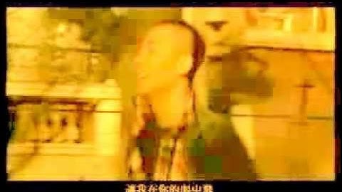 风筝 安琥
