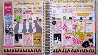 Plan With Me Kimmerbe Aug 17-23 #pawgustart