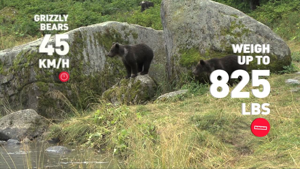 Canada's Land Watch | Toshiba | Nature Conservancy of Canada - YouTube
