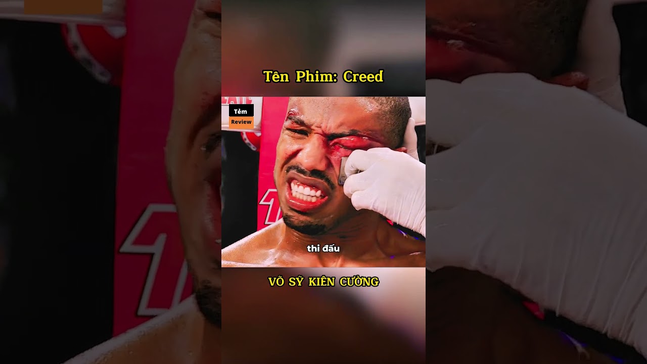 REVIEW PHIM VÕ SỸ KHÔNG BIẾT SỢ P6