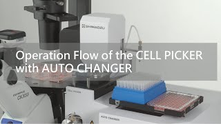 Automated Picking and Collecting of Cell Colonies - CELL PICKER with AUTO CHANGER