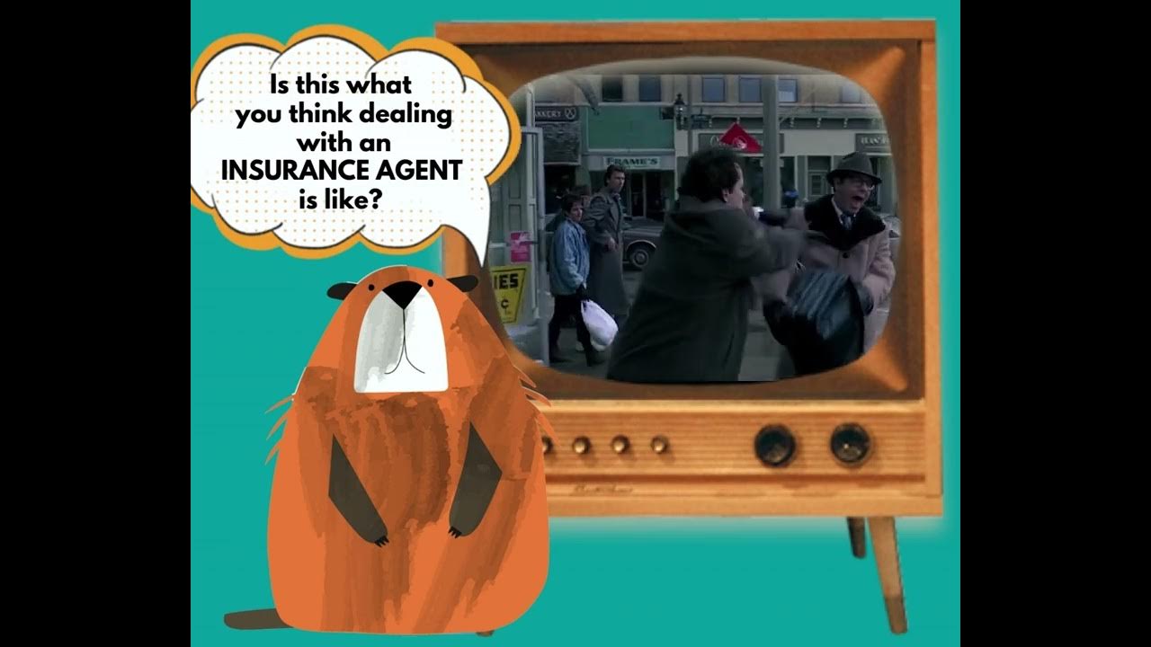 Groundhog Day Insurance - YouTube