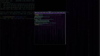 Scanning 101: The Scalpel vs. The Sledgehammer 🔪🔨 #cybersecurity #ethicalhacking #kali #linux