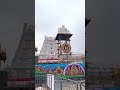 Om namo venkatesaya 🙏🏼😍😍🙏🏼#tirumala #tirupati #balaji #viral #trending #yvsk #subscribe #seemantham