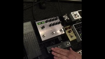 Multiswitch for Strymon