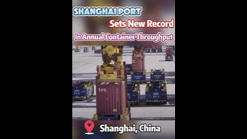 Shanghai Port sets new record in annual container throughput#fyp #fypシ #chinatiktok #likechina