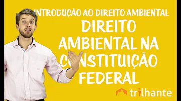 O que diz a Constituição Federal sobre o impacto ambiental?