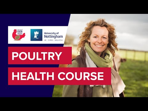 Poultry Health Course | British Hen Welfare Trust & University of Nottingham