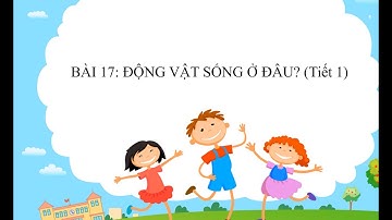 Tự nhiên và xã hội lớp 2 - Động vật sống ở đâu?