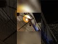 На пляже: идеальный день или провал? Смотри! #shorts