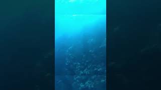 Effect of GoPro Red Light Filter 📷