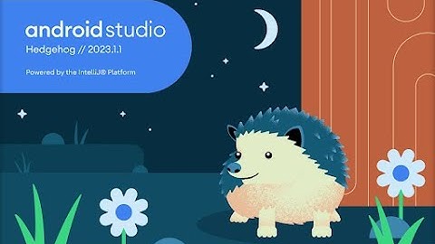 How To Install and Update To Latest Android Studio Hedgehog 2023.1.1 and What
