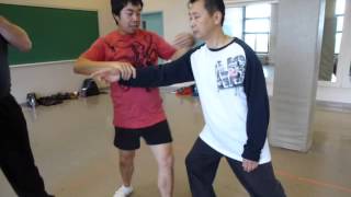 Information Ronnie Yee explains the fine art of Chen-style Taijiquan Practical Method (P1010929) Update