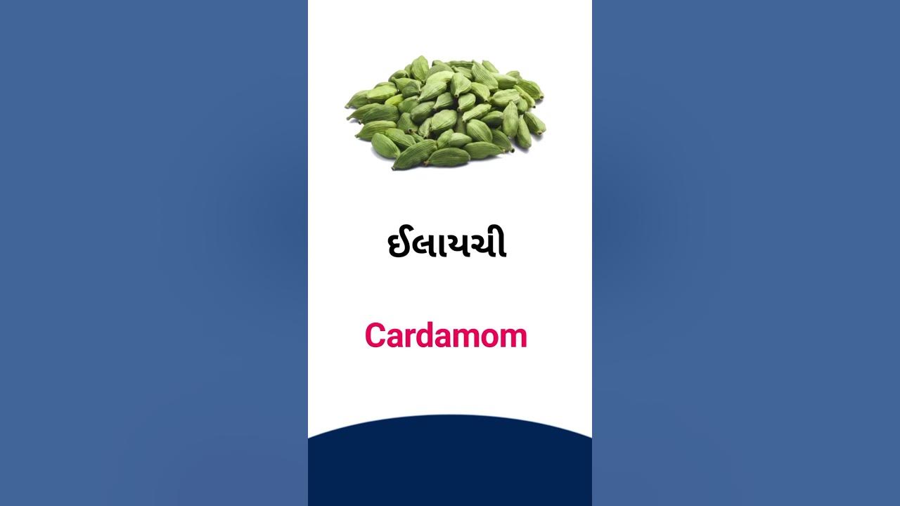 cardamom-meaning-in-gujarati-english-dictionary-youtube