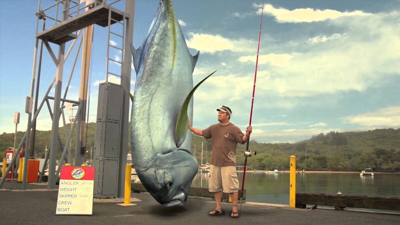 Island Insurance "Fish" 30 Second Commercial YouTube Island Insurance "Fish" 30 Second Commercial YouTube