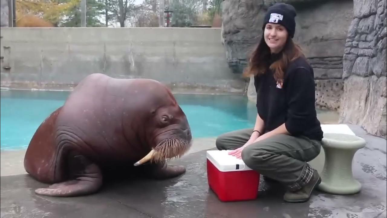 Interview with Fobio - YouTube