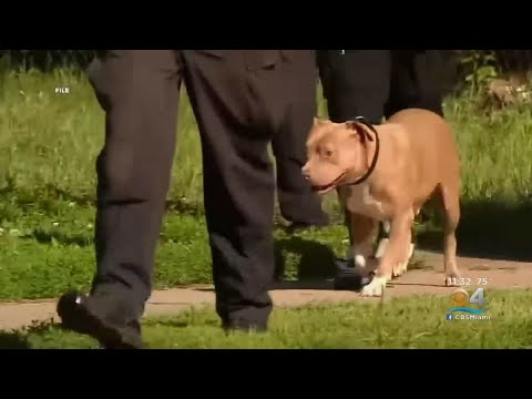 Video: Pregled stanja na Zemlji za naš planet: Rdeči seznam ogroženih vrst